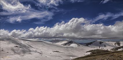 Near Rawsons Pass - Kosciuszko NP - NSW T (PBH4 00 10560)
